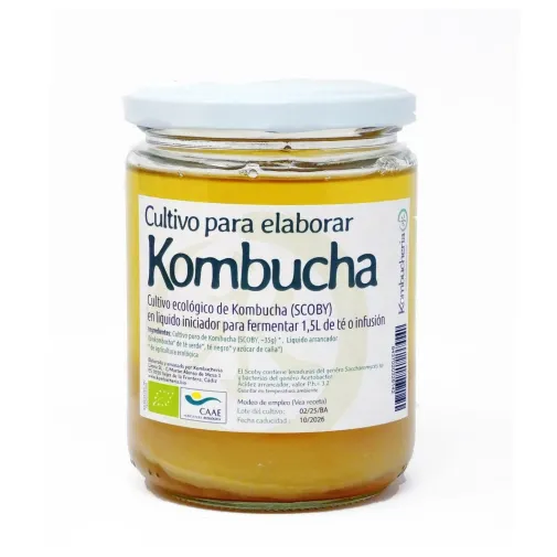 SCOBY Kombucha disco bio ecológico para fermentar en casa
