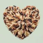 Arroz Ecológico procedente de Cultivos Ecológicos