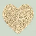 Descubre los Beneficios de las Semillas Comestibles y Germinados