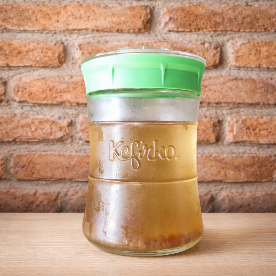 Tarro Kefirko con hongo kéfir fermentando de manera segura