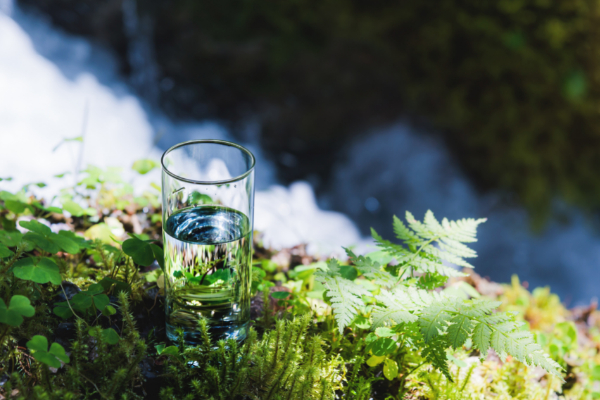 Vaso de agua alcalina