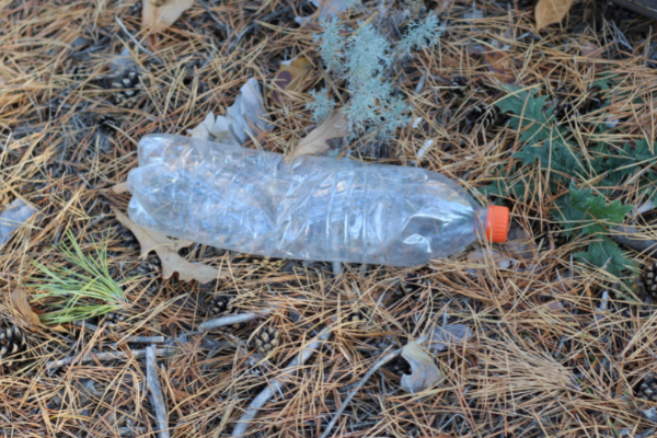 Botella de plástico PET en la naturaleza