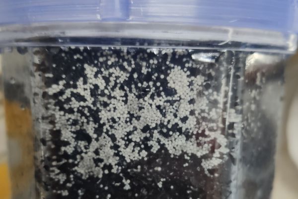 Capa de carbón activo con plata en el filtro de agua Acala Quell