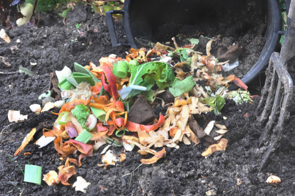 Compost con restos organicos