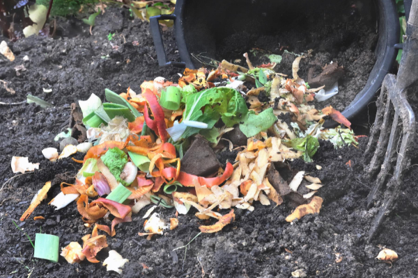 COMPOST CASERO FÁCIL! 3 Métodos con Resultados en 30 días