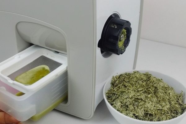 Resultado de aceite hecho en extractor de aceite yoda con semillas de calabaza