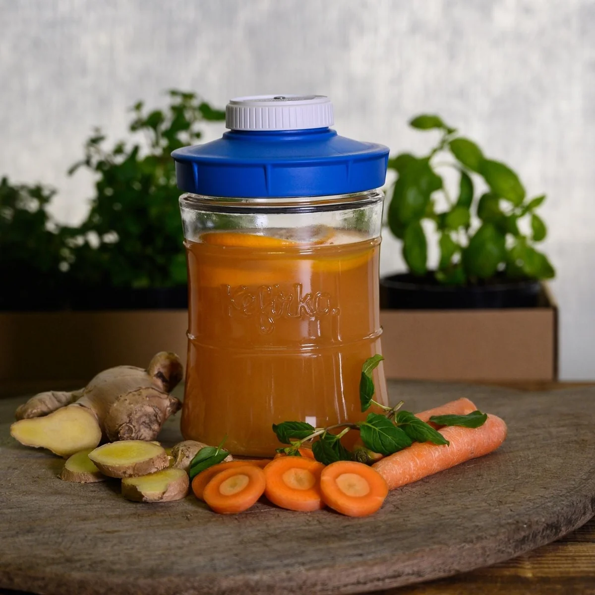 Kéfir de agua con zanahoria y jengibre en el tarro Kefirko con tapa hermética