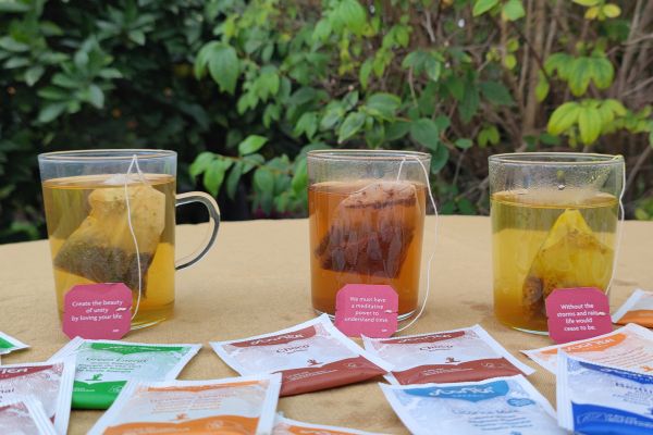 Microplásticos en tu Taza de Té: Lo que Necesitas Saber sobre las Bolsitas de Infusiones