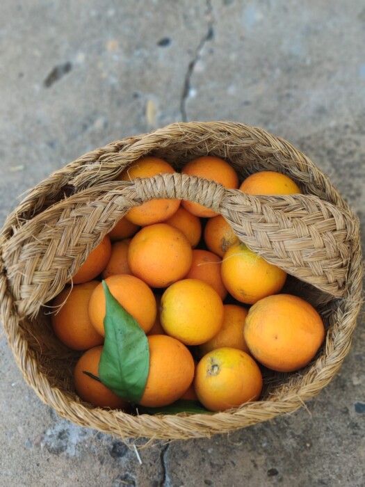 cesto de la abuela con naranjas