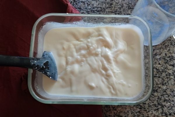 Receta de yogur natural